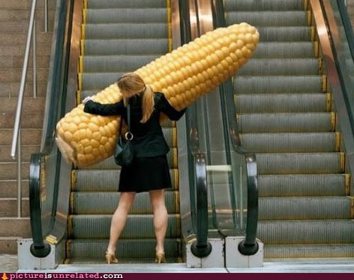 wtf-pics-hide-the-corn.jpg